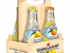 San Pellegrino - Sparkling Fruit Beverages - POS