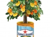 San Pellegrino - Sparkling Fruit Beverages - POS