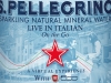 S.Pellegrino - Special Edition Fiat 500. World-wide da Luglio 2012.